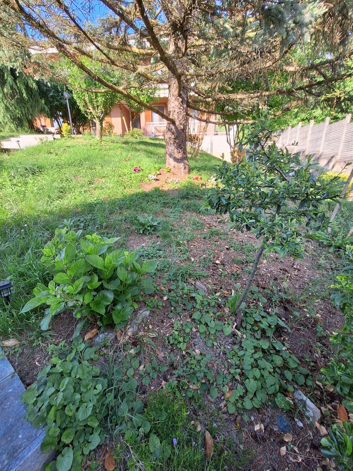 Andezeno - centro paese  - appartamento con porzione di giardino